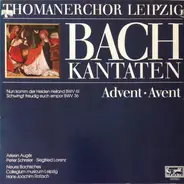 Thomanerchor - Bach Kantaten: Advent * Avent