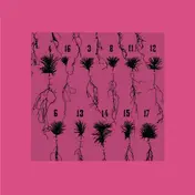 Thomalla - Imaginary Solutions