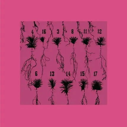 Thomalla - Imaginary Solutions