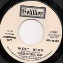 7inch Vinyl Single - Thomas A. Edison Electric Band - Ship Of The Future