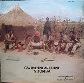 Thomas Mapfumo & the Blacks Unlimited - Gwindingwi Rine Shumba