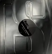 12inch Vinyl Single - Thomas P. Heckmann - Playing With Fire / Back Up