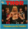 12inch Vinyl Single - Thor - Thunder On The Tundra