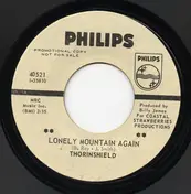 Thorinshield - Lonely Mountain Again