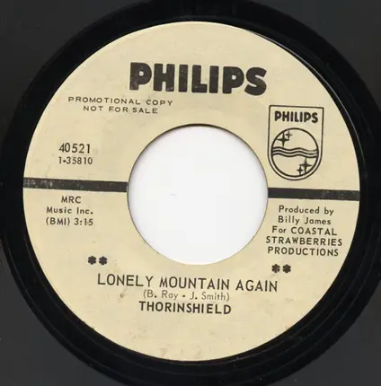 Thorinshield - Lonely Mountain Again
