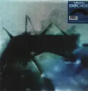 Thornhill - Bodies