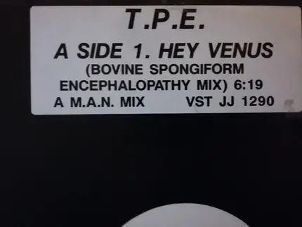 That Petrol Emotion - Hey Venus