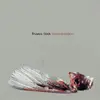 Double LP - Thavius Beck - Decomposition