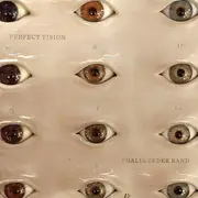 LP - Thalia Zedek Band - Perfect Vision