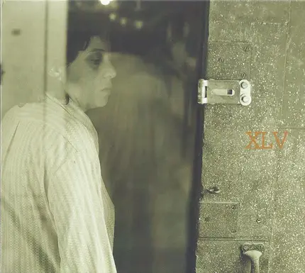 Thalia Zedek - Hell Is In Hello