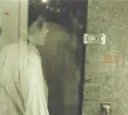 Thalia Zedek - Hell Is In Hello