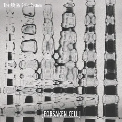 The 矯激 Solid System - Lysergic Paranoia
