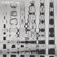 The 矯激 Solid System - Lysergic Paranoia