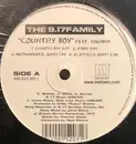 12inch Vinyl Single - Nine-Seventeen Family - Country Boy