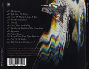 CD - The Courteeners - Falcon