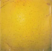 CD - The Coctails - Peel