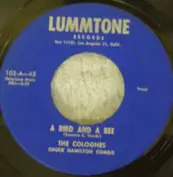 Lummtone Records