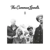 Common Linnets - II
