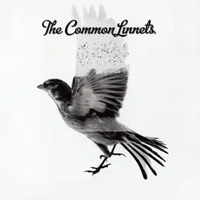 Common Linnets - The Common Linnets