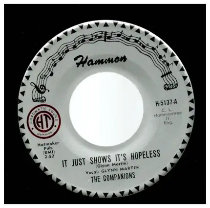 The Companions - It Just Shows It's Hopeless
