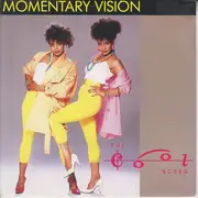 7inch Vinyl Single - The Cool Notes - Momentary Vision
