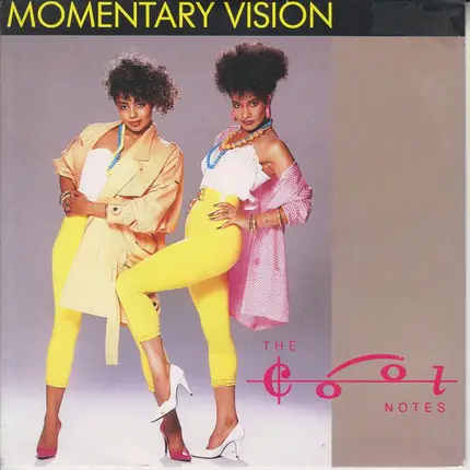 The Cool Notes - Momentary Vision