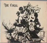 The Coral - Butterfly House Acoustic