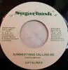 7inch Vinyl Single - The Catalinas - Summertimes Calling Me