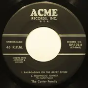 7inch Vinyl Single - The Carter Family - The Titanic - EP