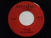 The Castaways - Liar, Liar / Run, Run, Run