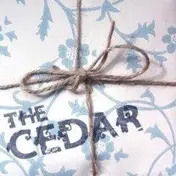 The Cedar - ALWAYS EXPLAINING TO MOM HOW...