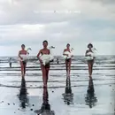 LP & MP3 - The Chakras - Build Me A Swan