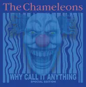 The Chameleons - Why Call It Anything