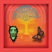 The Chameleons - John Peel Sessions