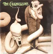 The Chameleons - Tears