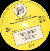 LP - The Chameleons - What Does Anything Mean? Basically