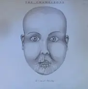 The Chameleons - Still In Love With Melancholy