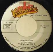 The Chantels - Sure Of Love / Prayee