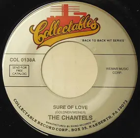 The Chantels - Sure Of Love / Prayee