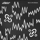 Double LP - The Chemical Brothers - Born In The Echoes - 180gr+insert