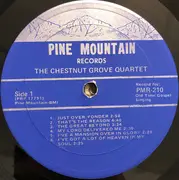 LP - The Chestnut Grove Quartet - The Great Beyond