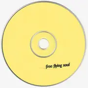 CD - The Choir - Free Flying Soul