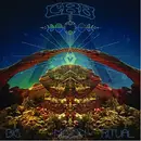 Double LP - The Chris Robinson Brotherhood - Big Moon Ritual