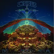 The Chris Robinson Brotherhood
