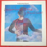 12inch Vinyl Single - The Christians - Greenbank Drive