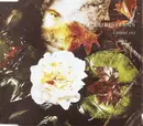 CD Single - The Christians - I Found Out