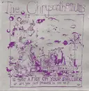 CD - The Chrysanthemums - Is That A Fish On Your Shoulder Or Are You Just Pleased To See Me?
