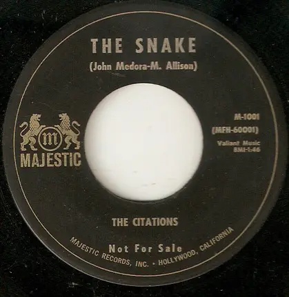 The Citations - Panda Bear / The Snake