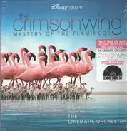 The Cinematic Orchestra - The Crimson Wing - Mystery Of The Flamingos