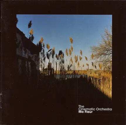 The Cinematic Orchestra - Ma Fleur